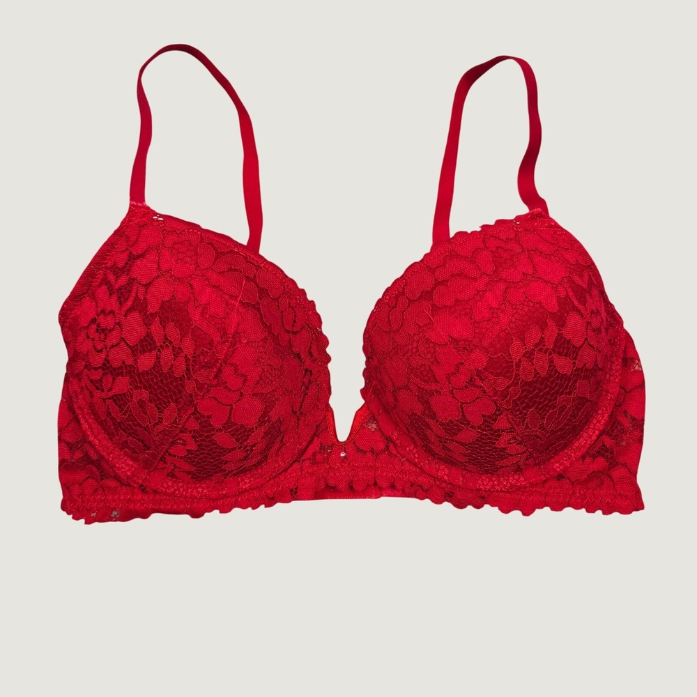 Rose + Vine Lace Underwire Bra Womens 34D 36C Red Floral Coquette Romantic